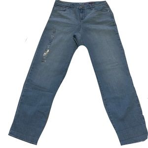 Style & Co Boyfriend Collection Jeans